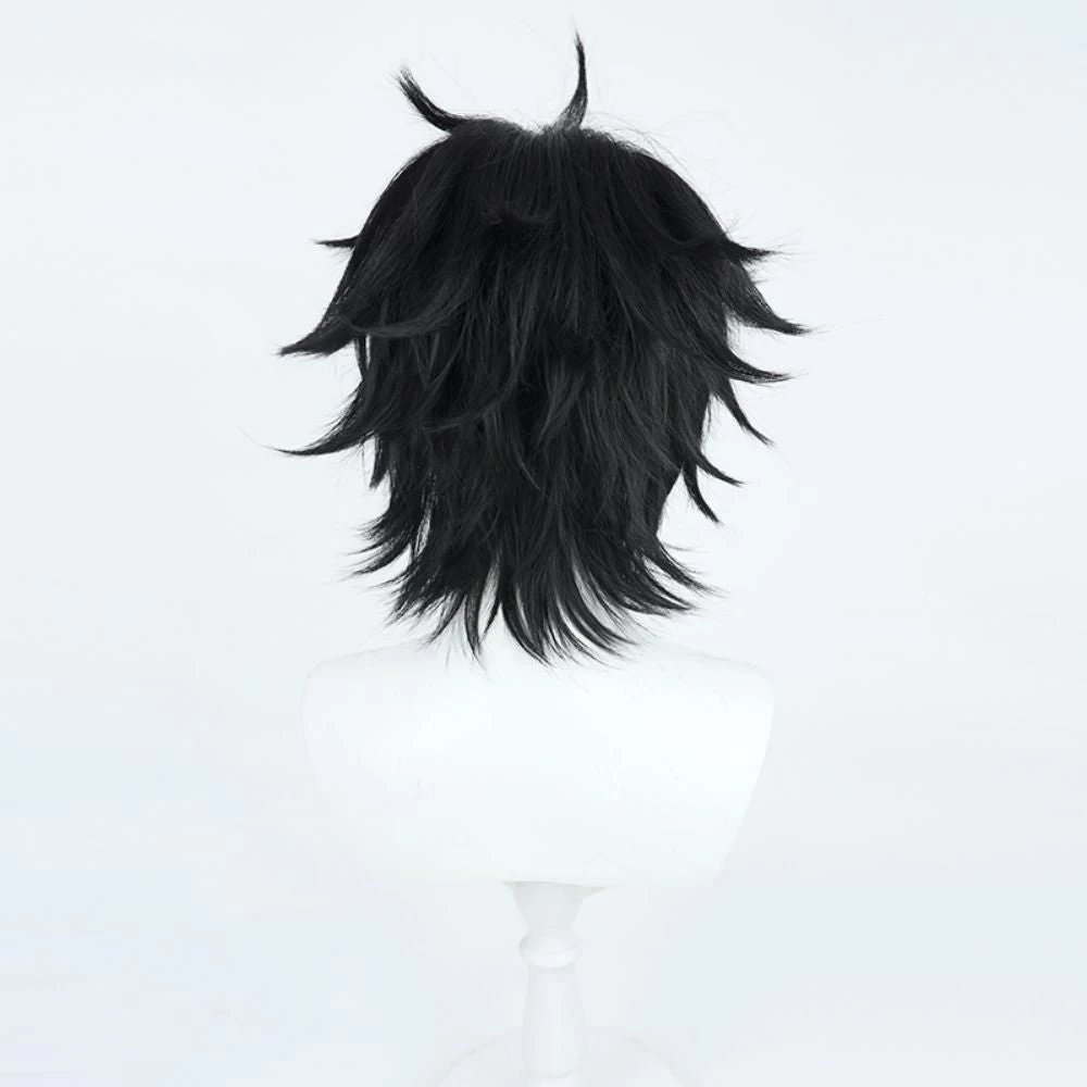 Honkai: Star Rail Dan Heng Black Cosplay Wig 4 Honkai: Star Rail Dan Heng Black Cosplay Wig - Image 2